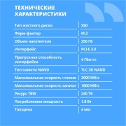накопитель CBR SSD-256GB-M.2-BS24b, Внутренний SSD-накопитель, серия