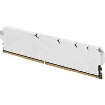 Модуль памяти Netac DDR4 DIMM 8GB NTSSD4P32SP-08W PC4-25600, 3200MHz Модуль памяти Netac DDR4 DIMM 8GB NTSSD4P32SP-08W PC4-25600, 3200MHz