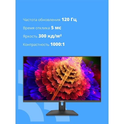 Монитор CBR LCD Монитор 31.5 Монитор CBR LCD Монитор 31.5