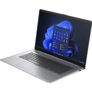 Ноутбук HP ProBook 470 G10 85C22EA Silver 17.3
