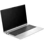 Ноутбук HP Probook 450 G10 9G1R1ET Silver 15.6