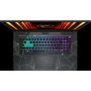 Ноутбук MSI Cyborg 17 B13WFKG-213XRU 9S7-17U332-213 Black 17.3