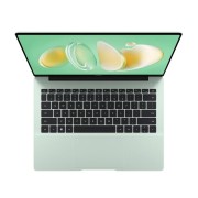 Ноутбуки Huawei MateBook 14 FLMH-X FlemingH-W5651T 53014MFP Green 14