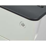 Принтер лазерный Pantum P3010DW A4 Duplex WiFi белый