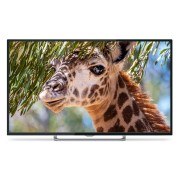 Телевизор LED PolarLine 55" 55PU11TC-SM черный 4K Ultra HD 60Hz DVB-T DVB-T2 DVB-C DVB-S2 WiFi Smart TV (RUS)