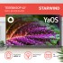 Телевизор LED Starwind 43" SW-LED43UG400 Яндекс.ТВ стальной 4K Ultra HD 60Hz DVB-T DVB-T2 DVB-C DVB-S DVB-S2 USB WiFi Smart TV Телевизор LED Starwind 43" SW-LED43UG400 Яндекс.ТВ стальной 4K Ultra HD 60Hz DVB-T DVB-T2 DVB-C DVB-S DVB-S2 USB WiFi Smart TV