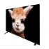 LCD, LED телевизоры Topdevice Topdevice 50'' TDTV50ES13U_BK/UHD/VA/Smart YaOS/2-32Gb/BT/черный LCD, LED телевизоры Topdevice Topdevice 50'' TDTV50ES13U_BK/UHD/VA/Smart YaOS/2-32Gb/BT/черный