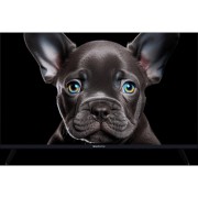 LCD, LED телевизоры Topdevice Topdevice 32